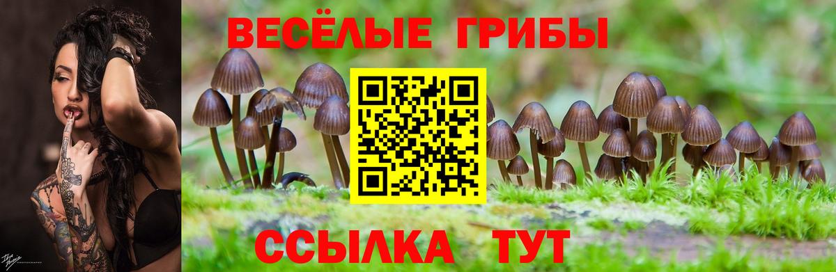 Галлюциногенные грибы Psilocybine cubensis  Вход с VPN  Соликамск  Псилоцибиновые грибы ЛСД 
